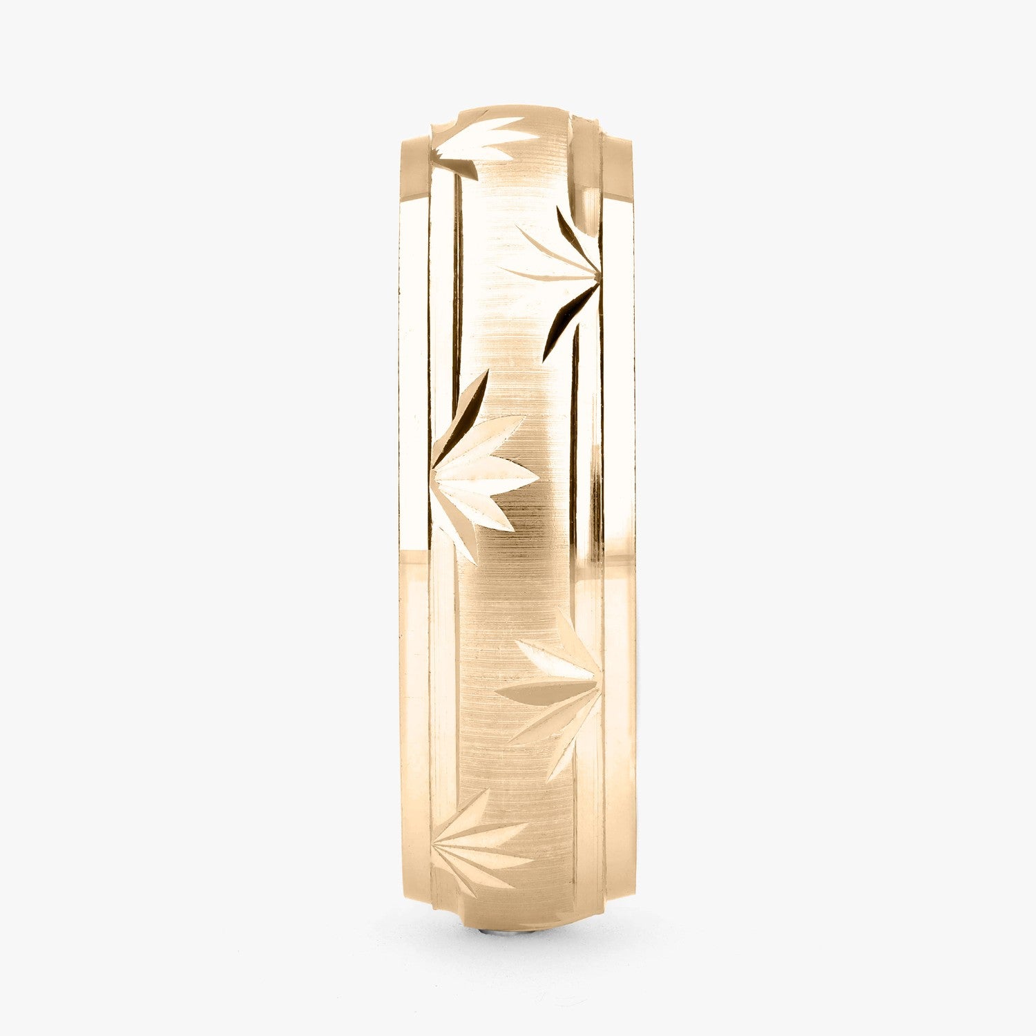 Argolla Coyote Clásica 6mm en oro amarillo